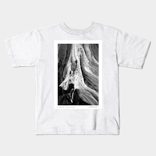 Kanaha Driftwood Kids T-Shirt